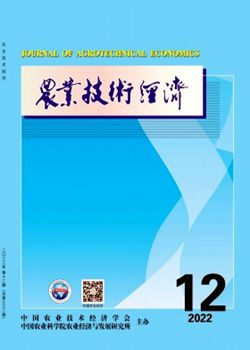 農(nóng)業(yè)技術(shù)經(jīng)濟(jì)_副本.jpg