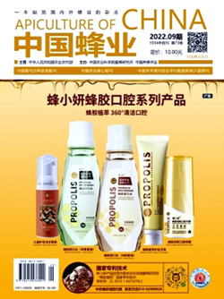 中國蜂業(yè)_副本.png
