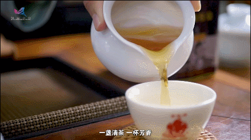 如何真正做有價(jià)值的科研？聽(tīng)“茶葉院士”陳宗懋的答案