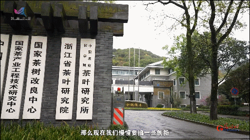 如何真正做有價(jià)值的科研？聽(tīng)“茶葉院士”陳宗懋的答案