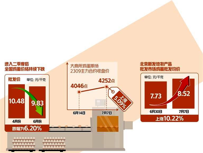 雞蛋消費(fèi)_副本.jpg