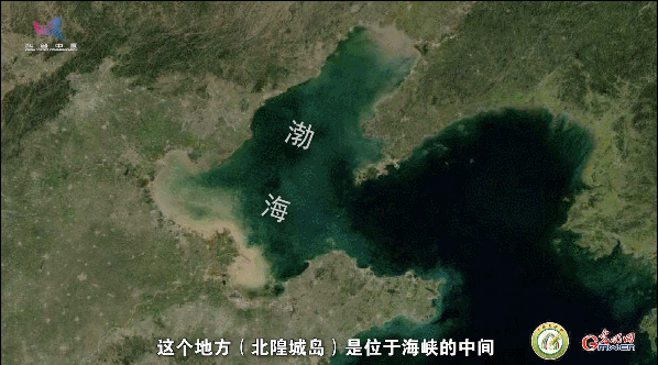 【一線調研·青春有為】一座海島，一群博士，二十年接力只為一件事