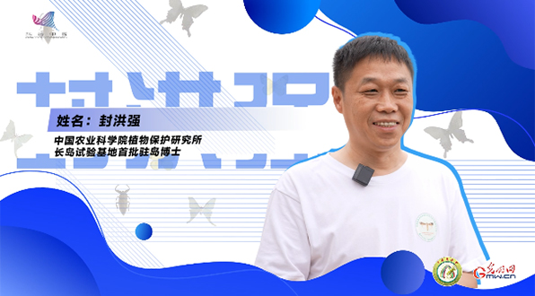 【一線調研·青春有為】一座海島，一群博士，二十年接力只為一件事