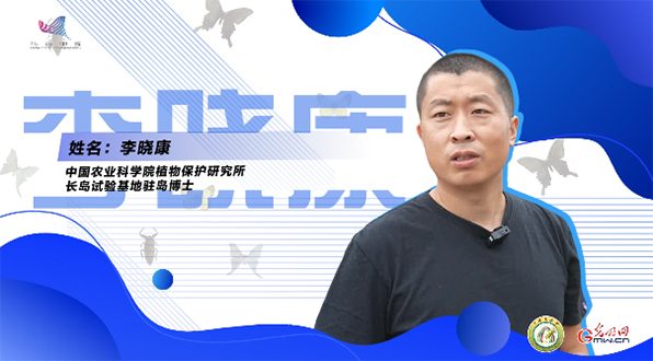 【一線調研·青春有為】一座海島，一群博士，二十年接力只為一件事