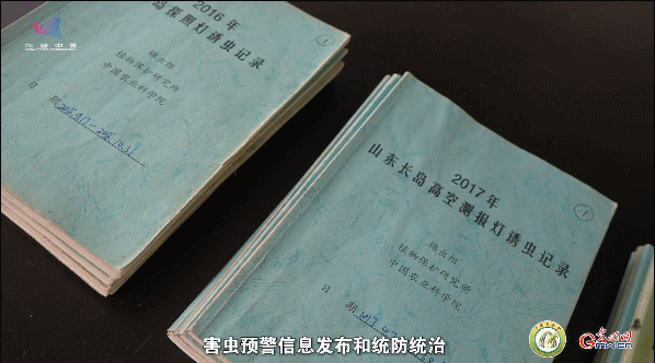 【一線調(diào)研·青春有為】一座海島，一群博士，二十年接力只為一件事