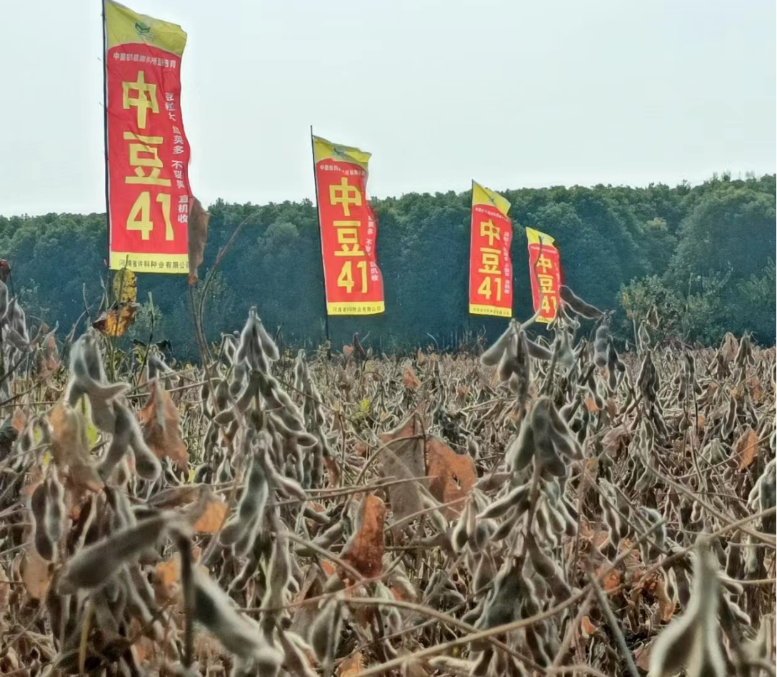 鍛造2.png