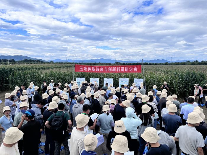 玉米大會700-3.jpg