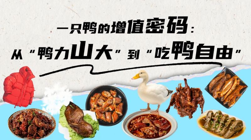 【大國(guó)糧策】從“鴨力山大”到“吃鴨自由”：院士揭秘一只鴨的“增值密碼”