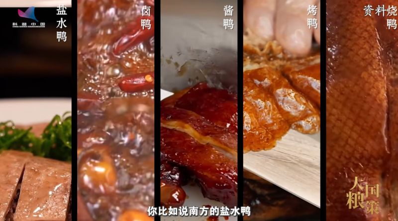 【大國(guó)糧策】從“鴨力山大”到“吃鴨自由”：院士揭秘一只鴨的“增值密碼”