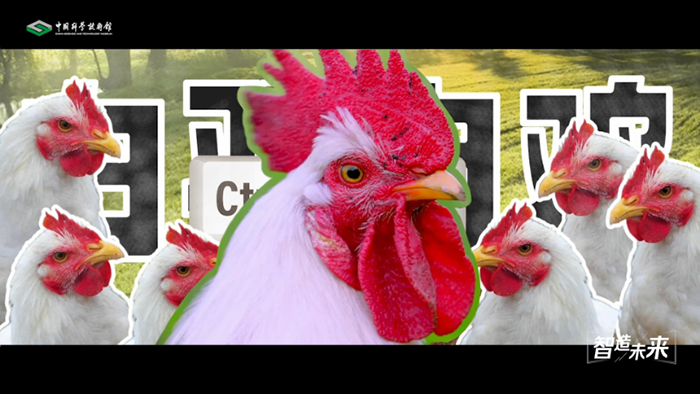 88aedd1c850829a3c1cb0b.jpg